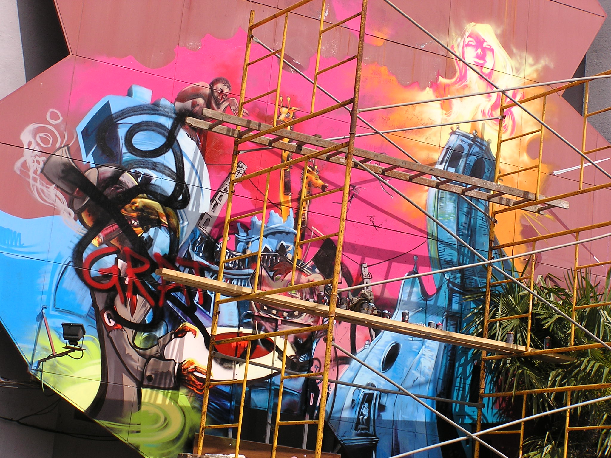 OLYMPUS DIGITAL CAMERA