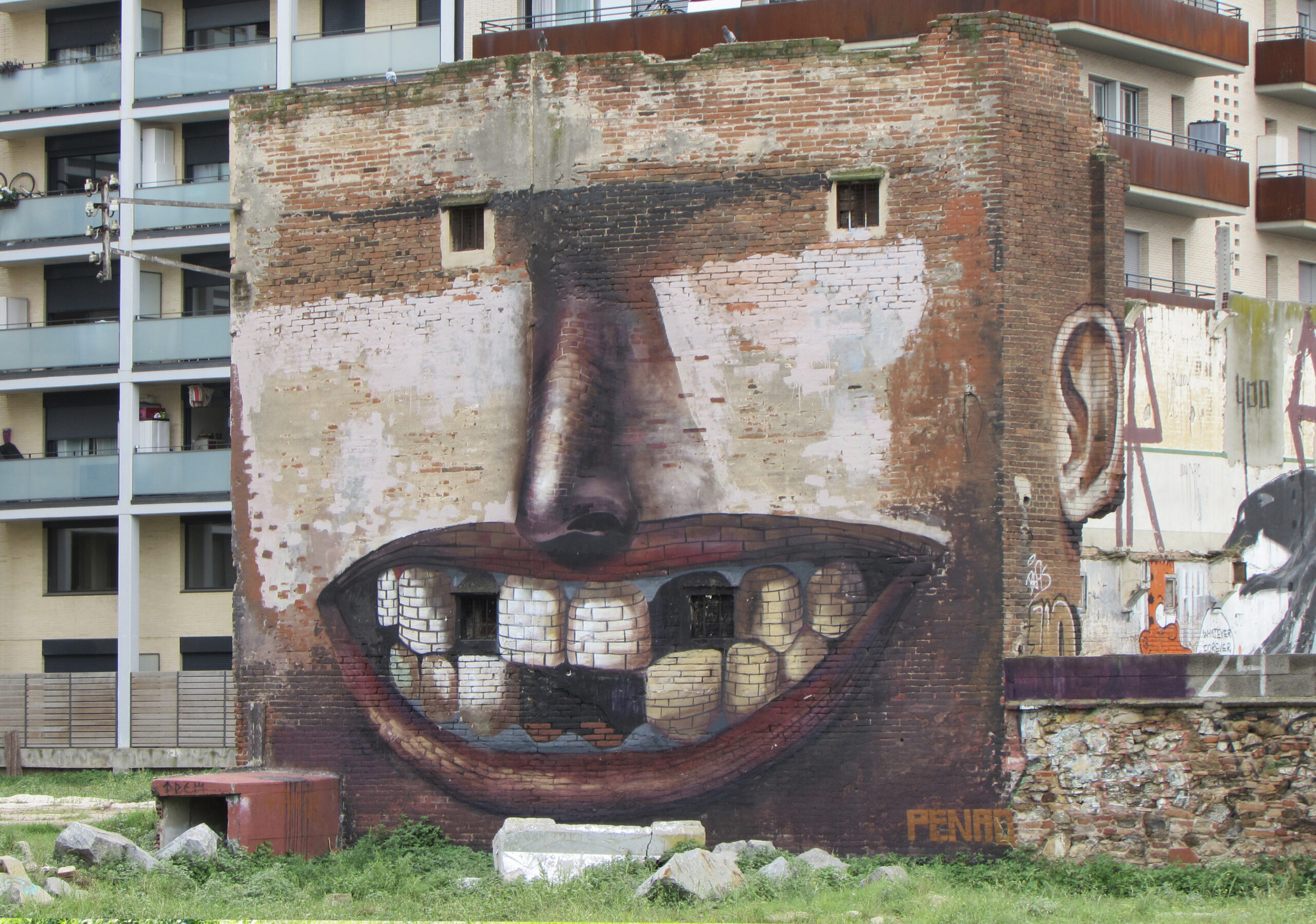 cara barna portada a