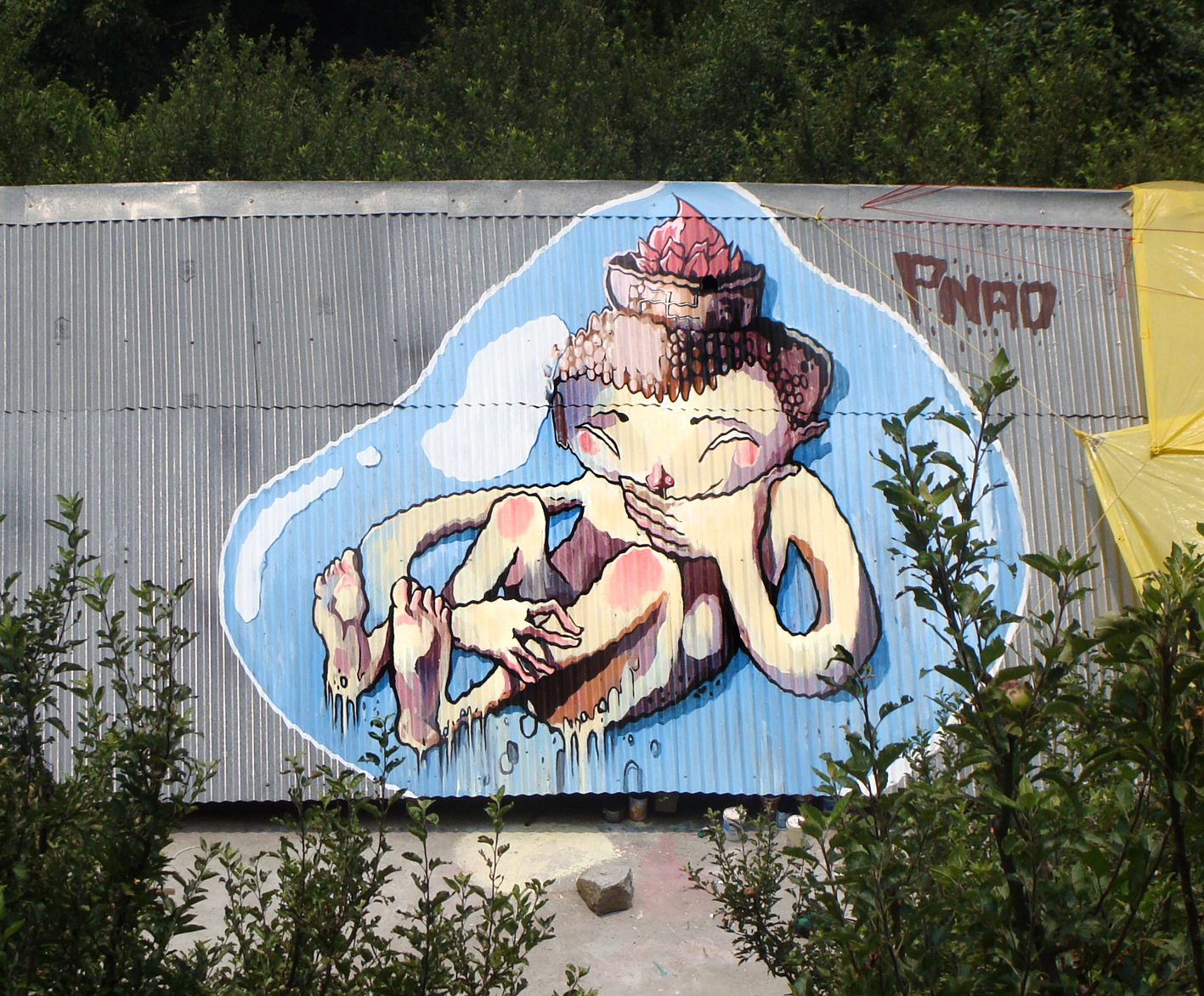 lotus-penao-Manali-hymalaiad