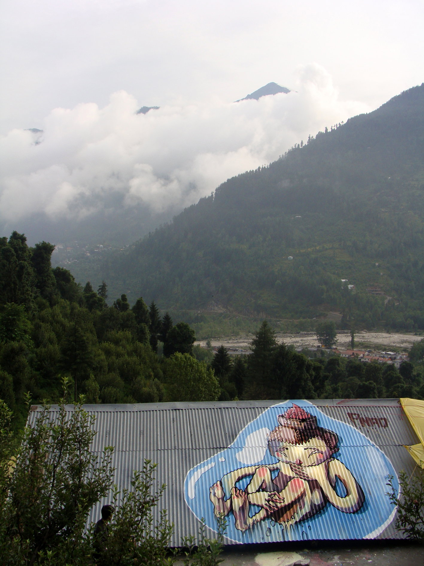 lotus penao hymalaias manali f